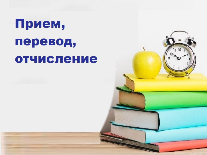 Правила приема, перевода, отчисления.